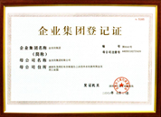 企業(yè)集團登記證1